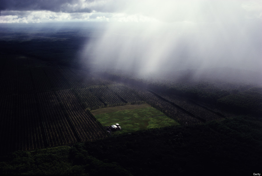 hawaii rain