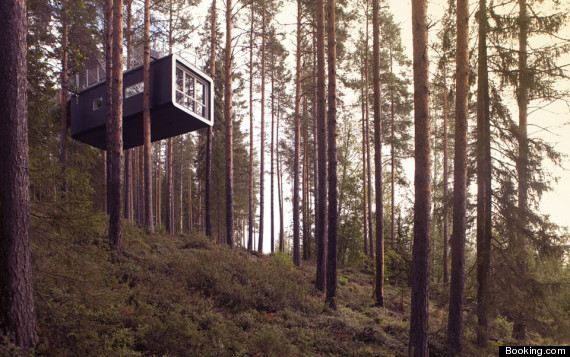 treehotel