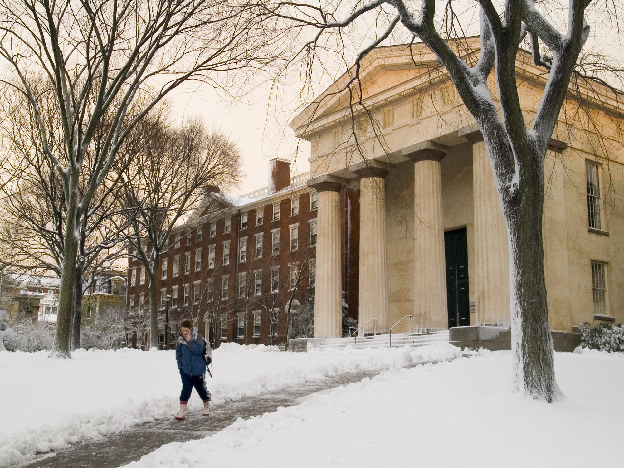 brown university