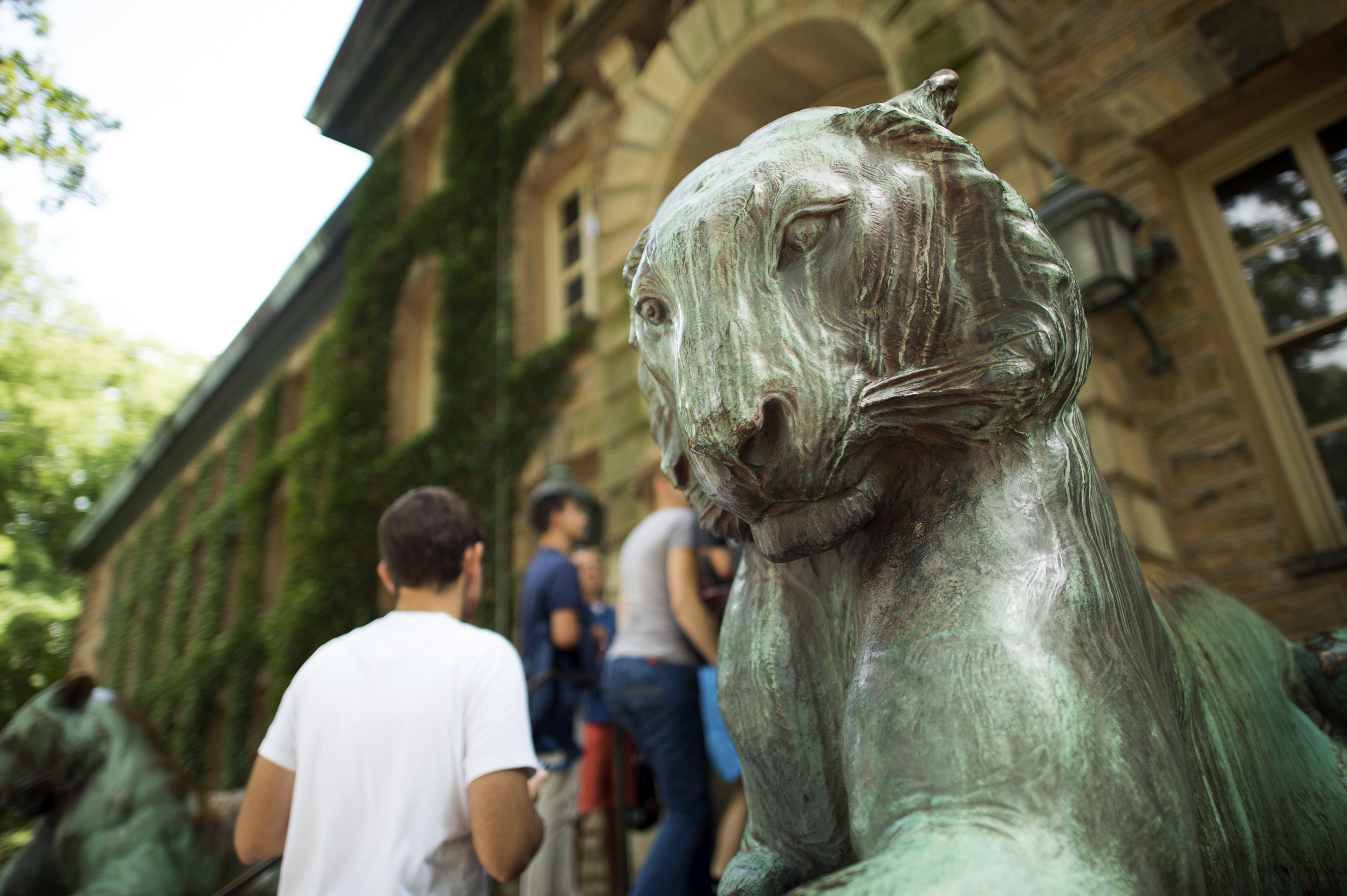 princeton tiger