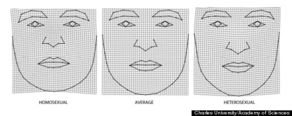 gay straight face shape