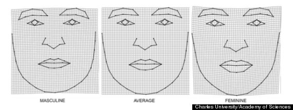 gay straight face shape