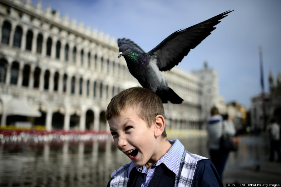 piazza san marco