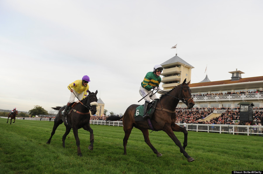 mountain tunes wins the weatherbys novices hurdle