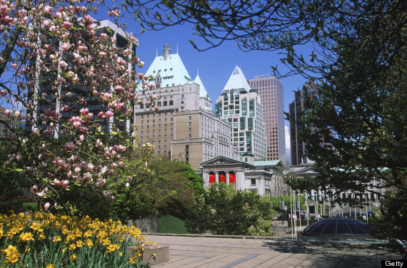 cherry blossoms in vancouver