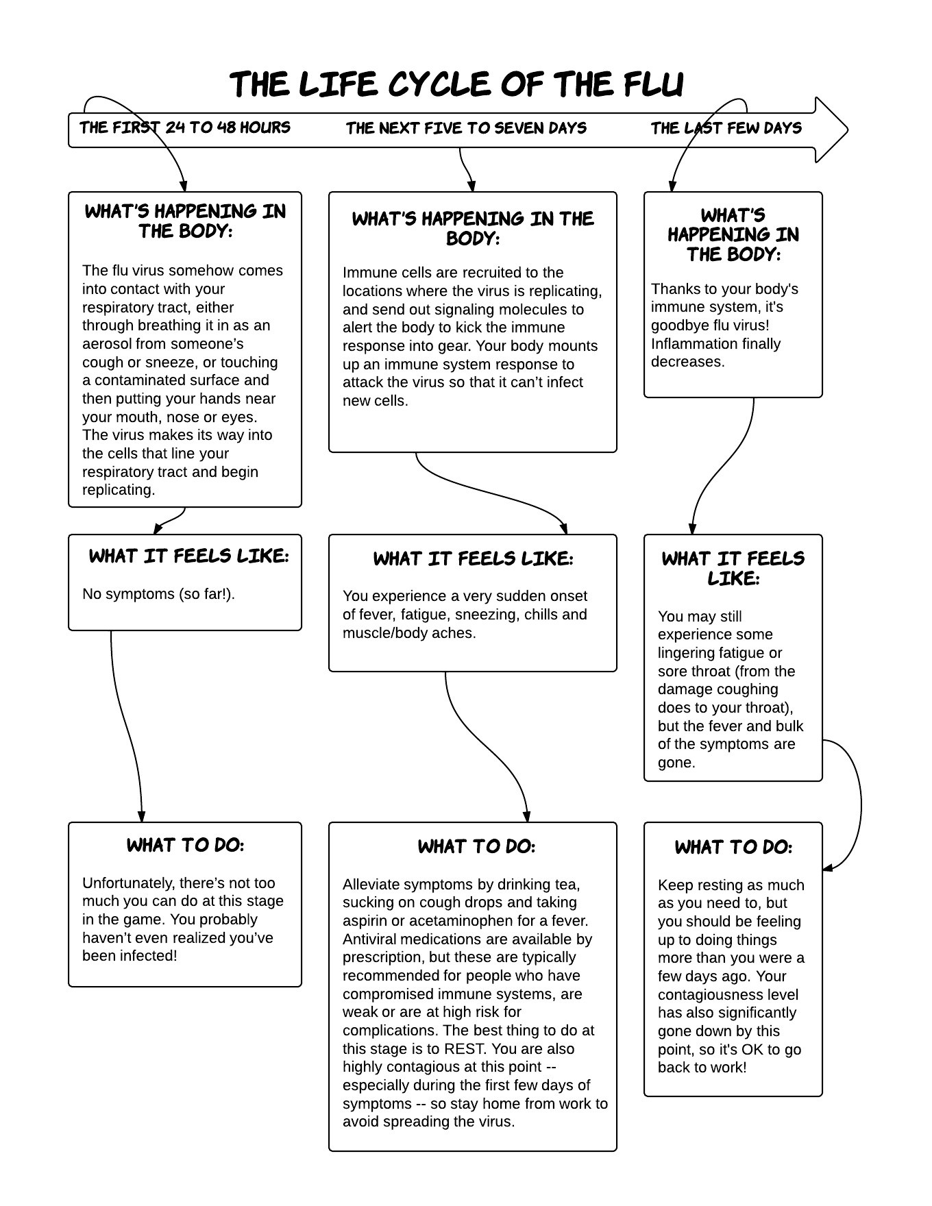 The Life Cycle Of The Flu (INFOGRAPHIC) | HuffPost