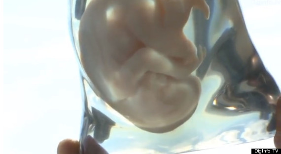 3d printed fetus