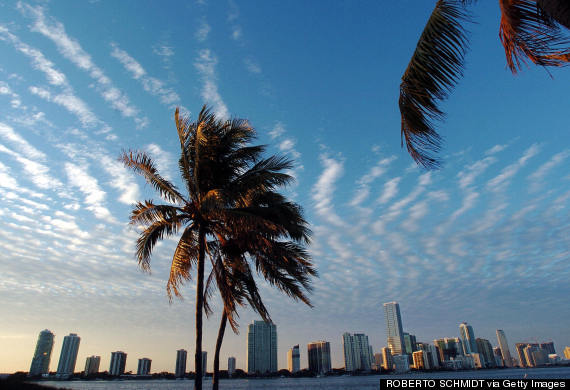 miami skyline