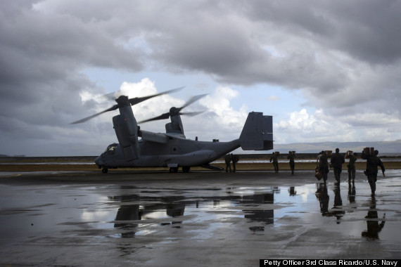 osprey