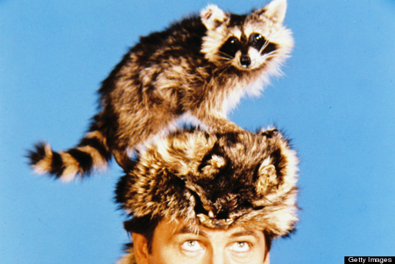 coonskin hat