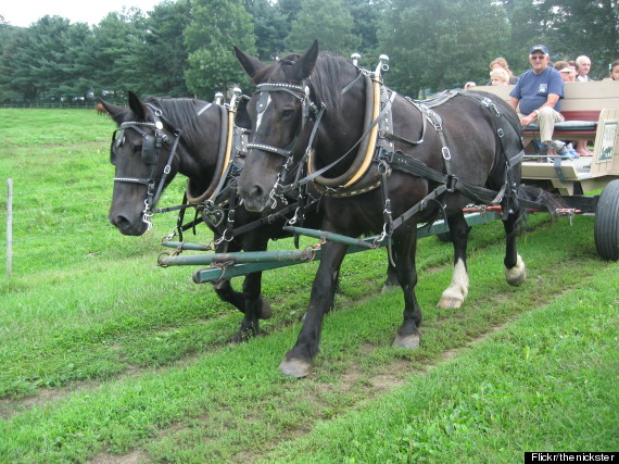 billings farm