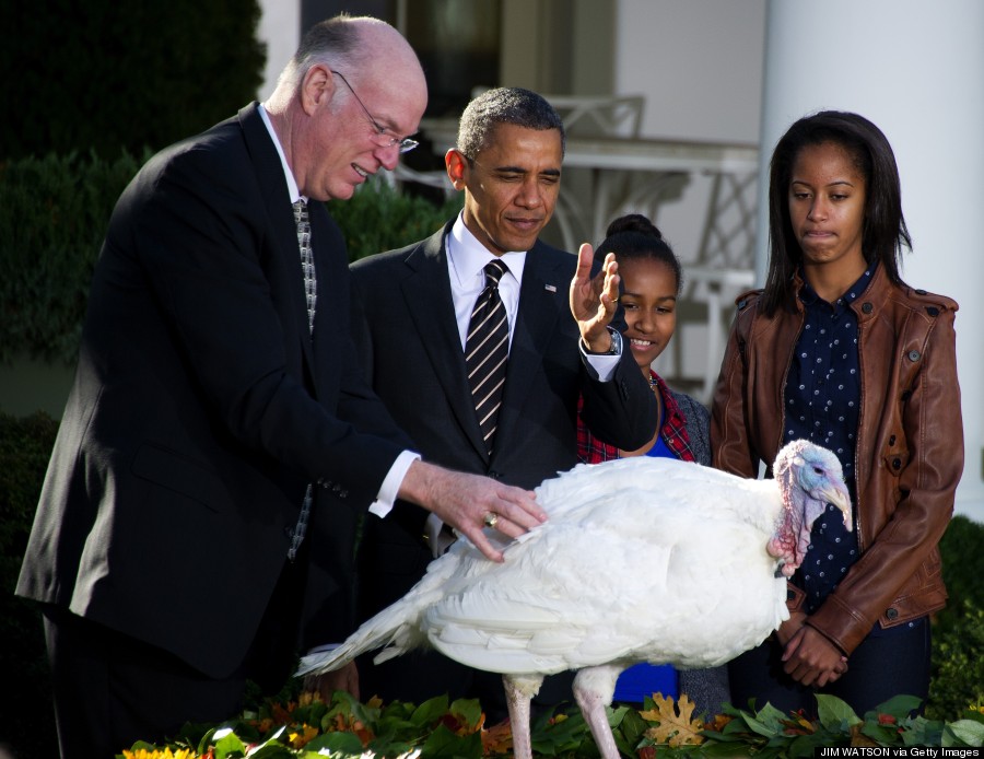 obama turkeys
