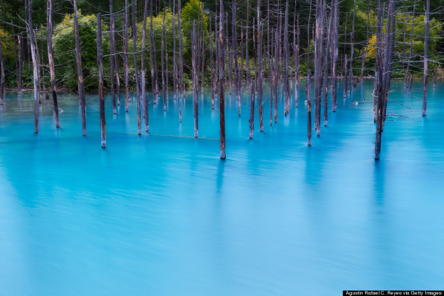 blue pond japan