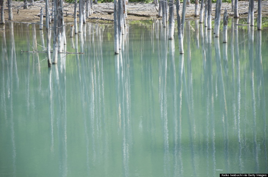 blue pond japan