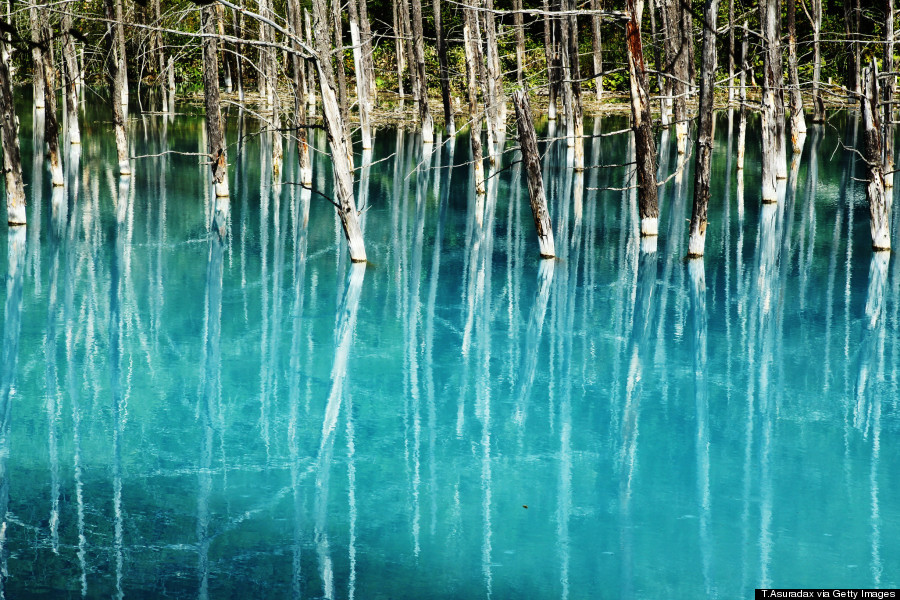 blue pond japan