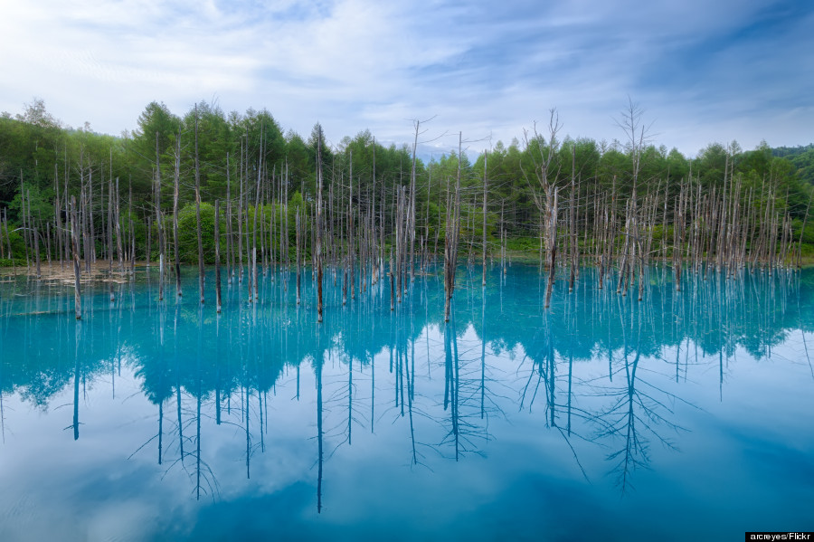 blue pond japan