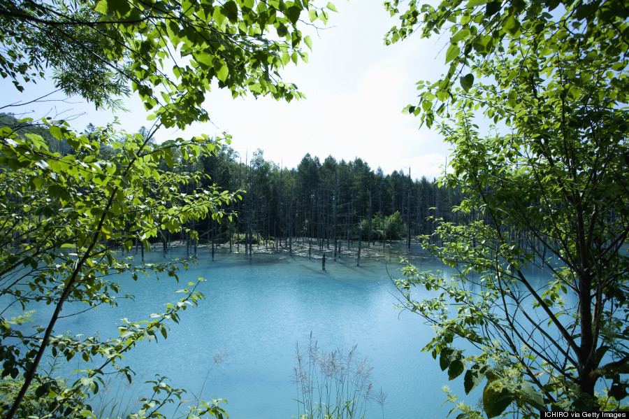 blue pond japan