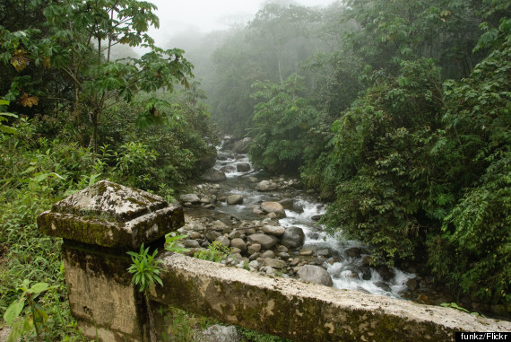 manú national park