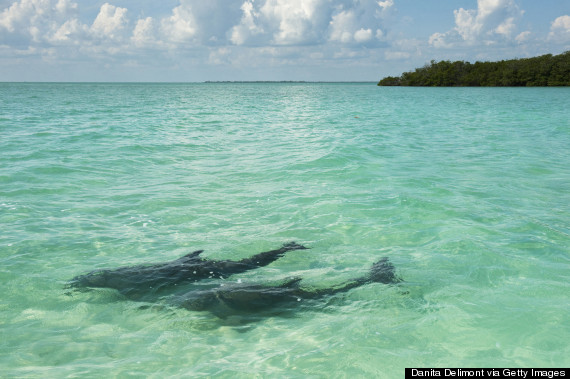 sian kaan biosphere reserve