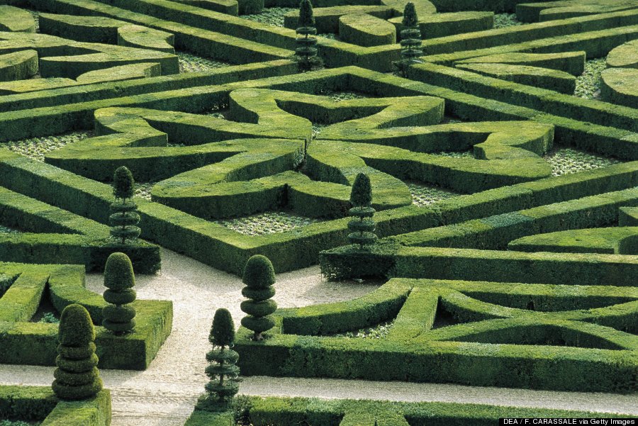 hedge maze