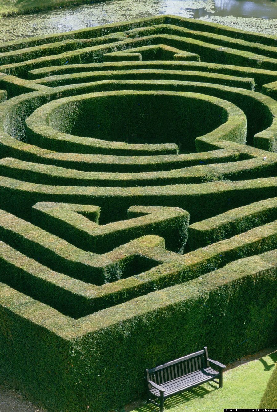 hedge maze