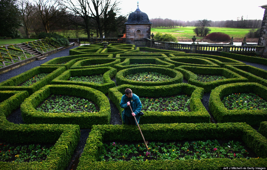 hedge maze