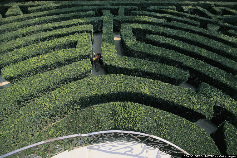 hedge maze