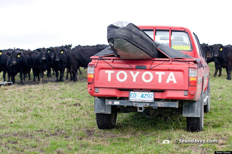 toyota tacoma