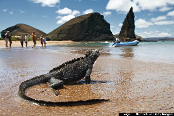 galapagos travel