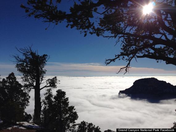 grand canyon fog