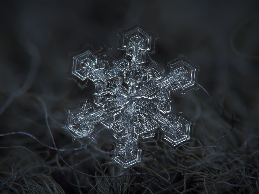Photos of Snowflakes Like You've Never Seen Them Before - The New