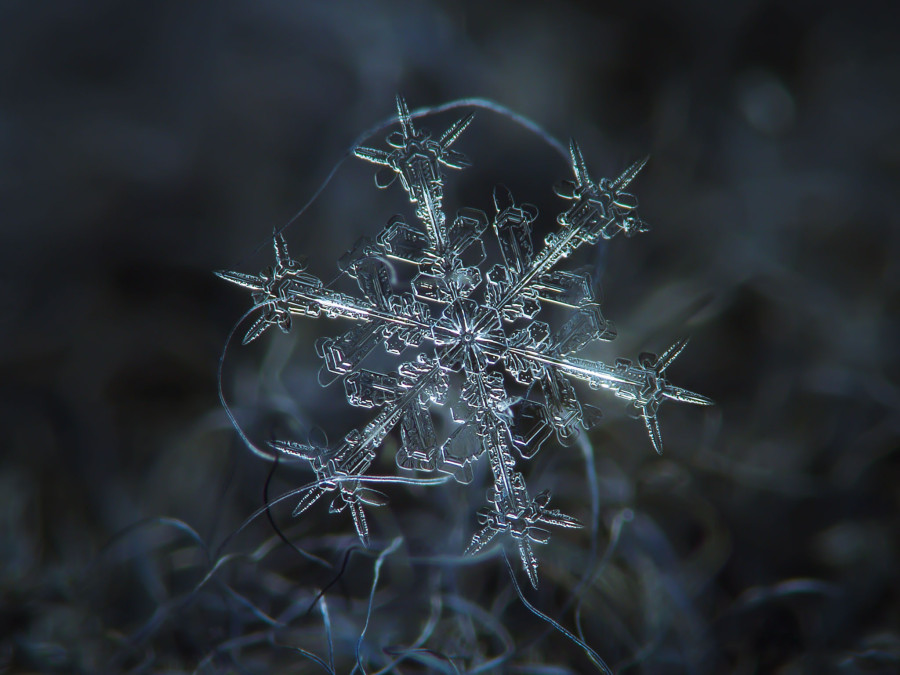 Getting up close with snowflakes, Articles