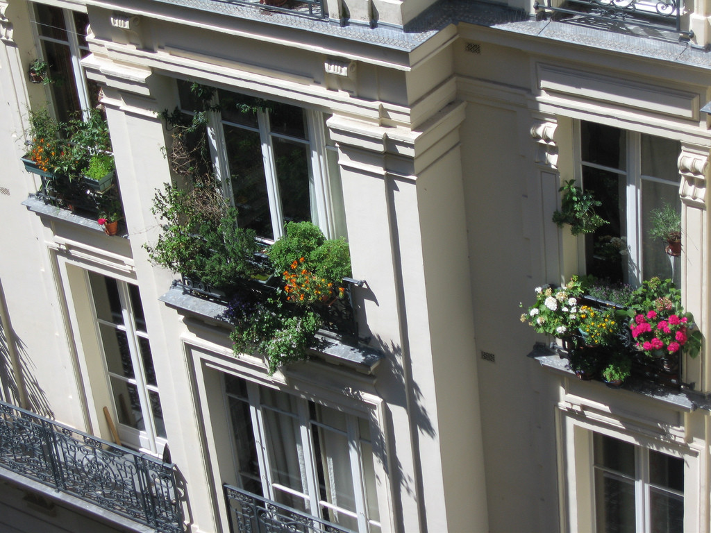 french flower terrace