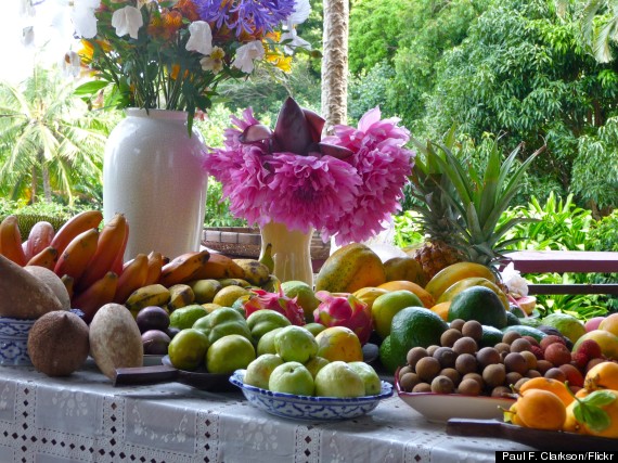 maui organic farm