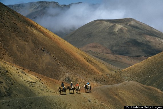 maui horseback riding