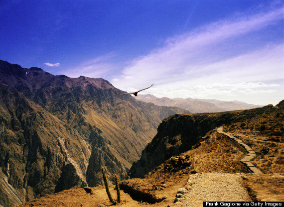 colca canyon