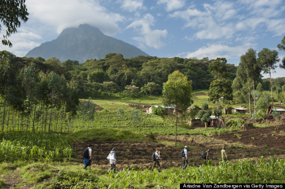 virunga national park