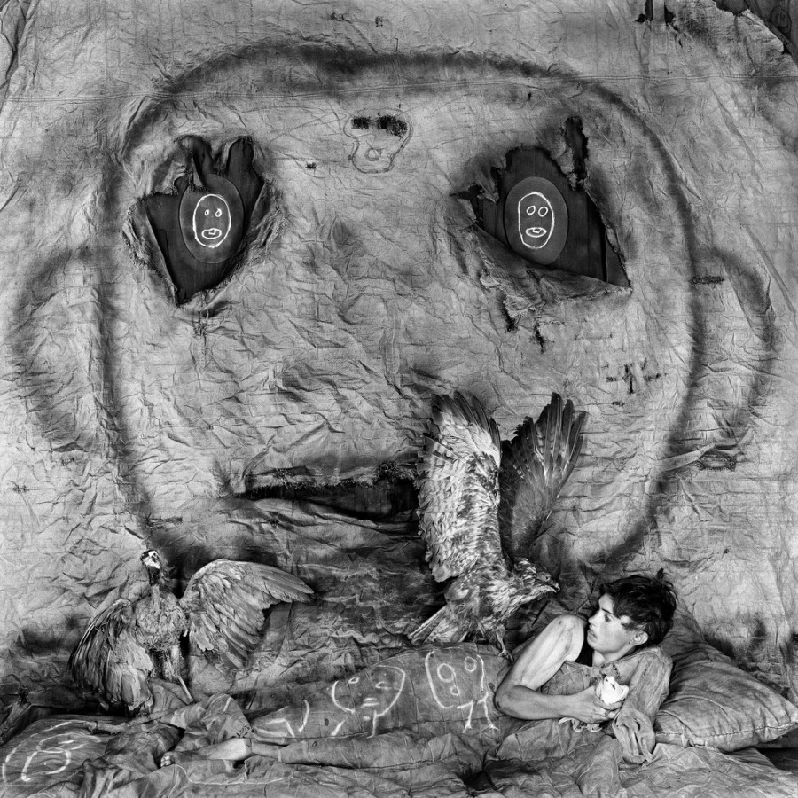 roger ballen biography