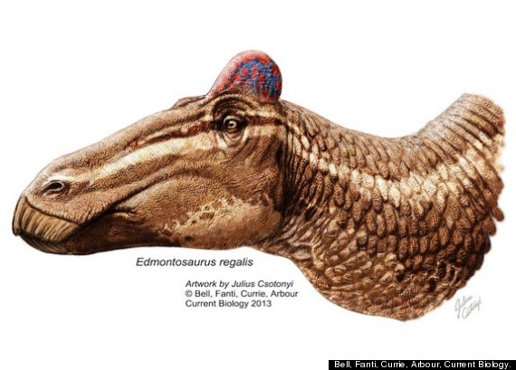 edmontosaurus