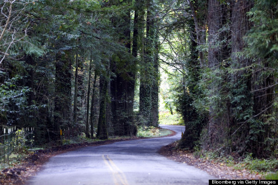 bohemian grove