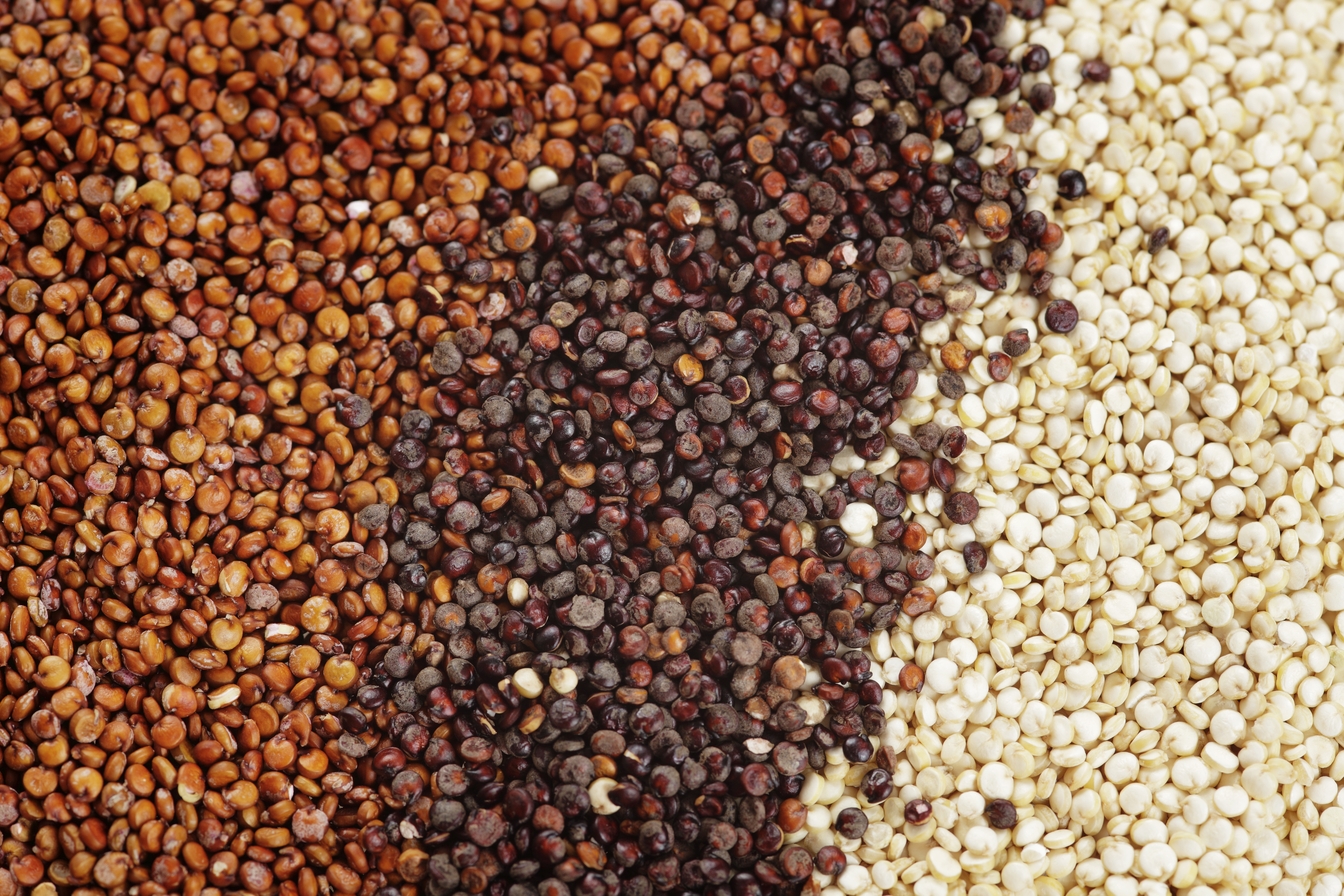 types of quinoa