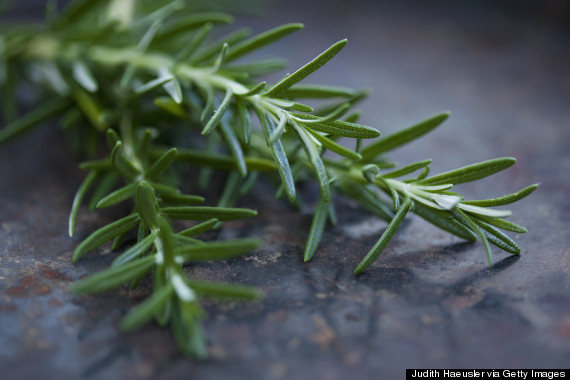 rosemary