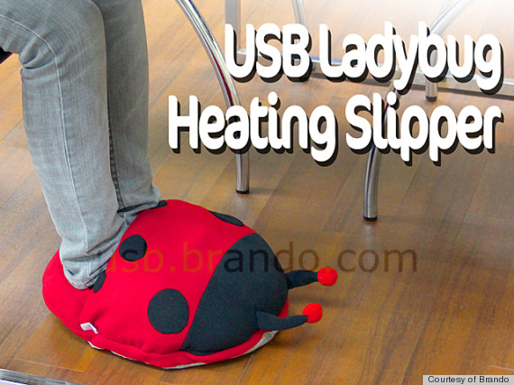 ladybug slipper