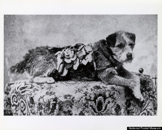 owney 1