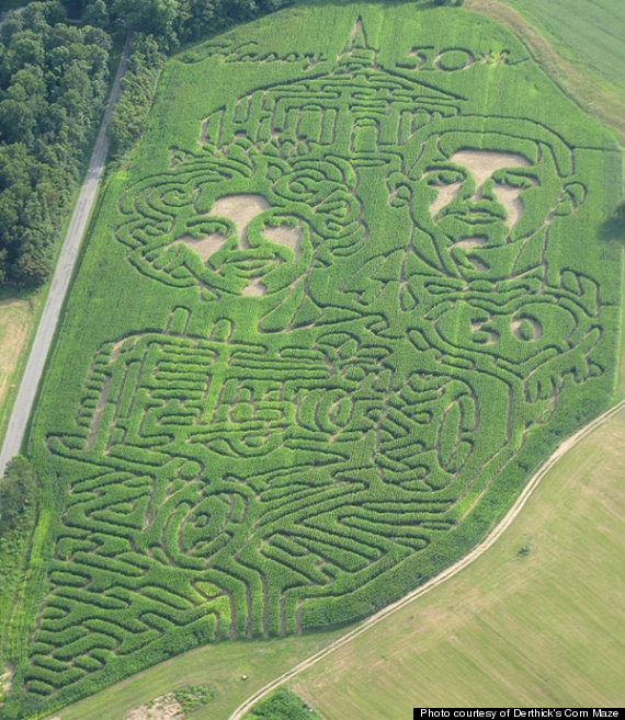 corn maze photo