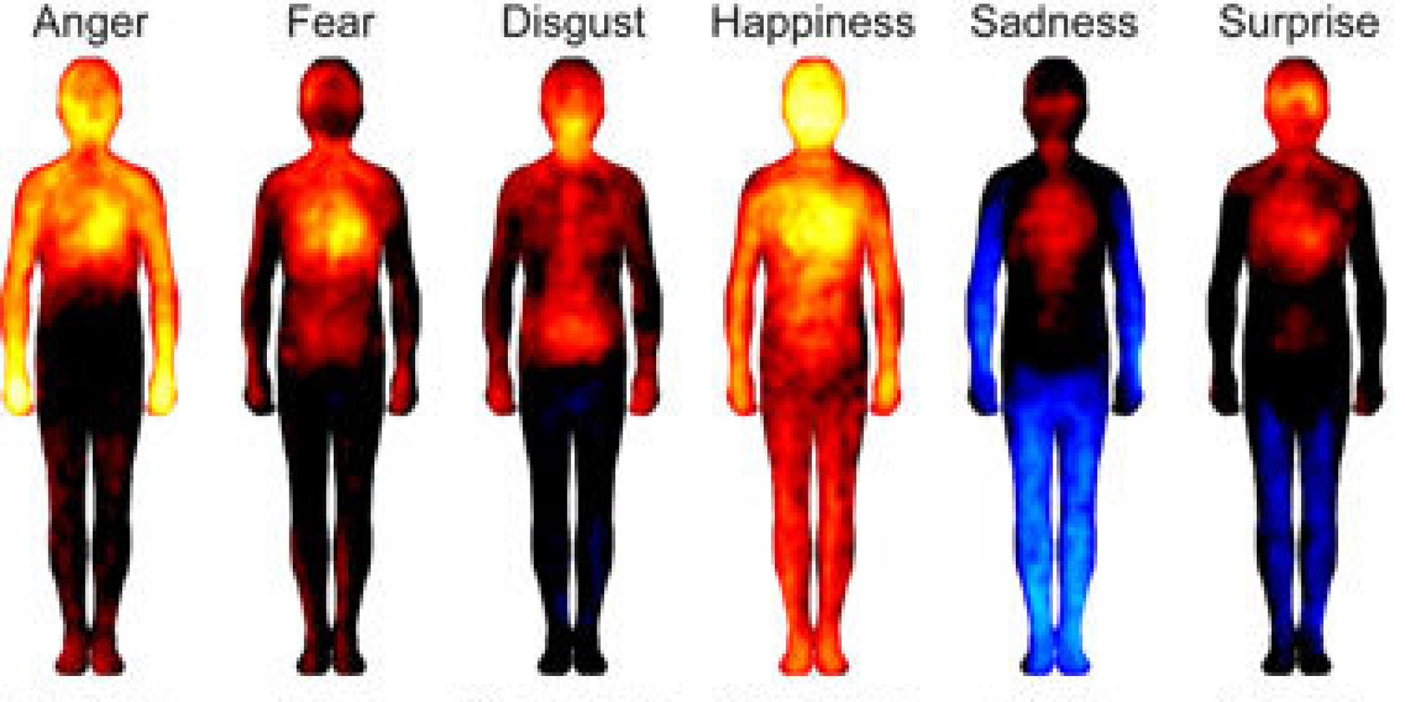 Where Your Body 'Feels' Emotions Revealed In New Study (VIDEO)