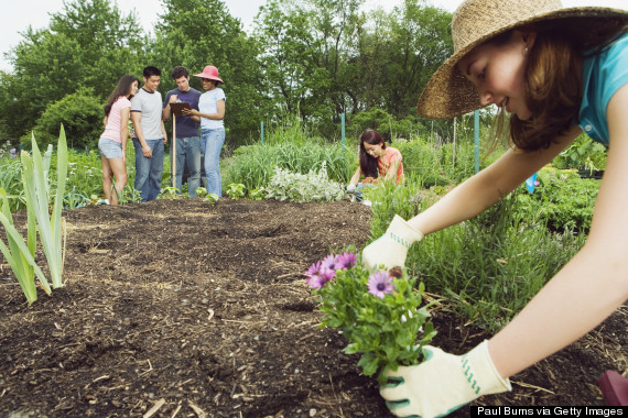 community garden planting