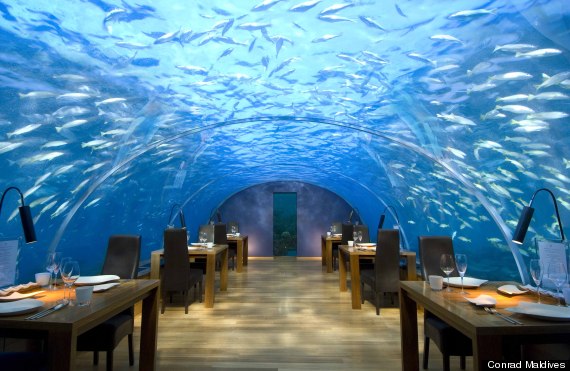 conrad maldives ithaa