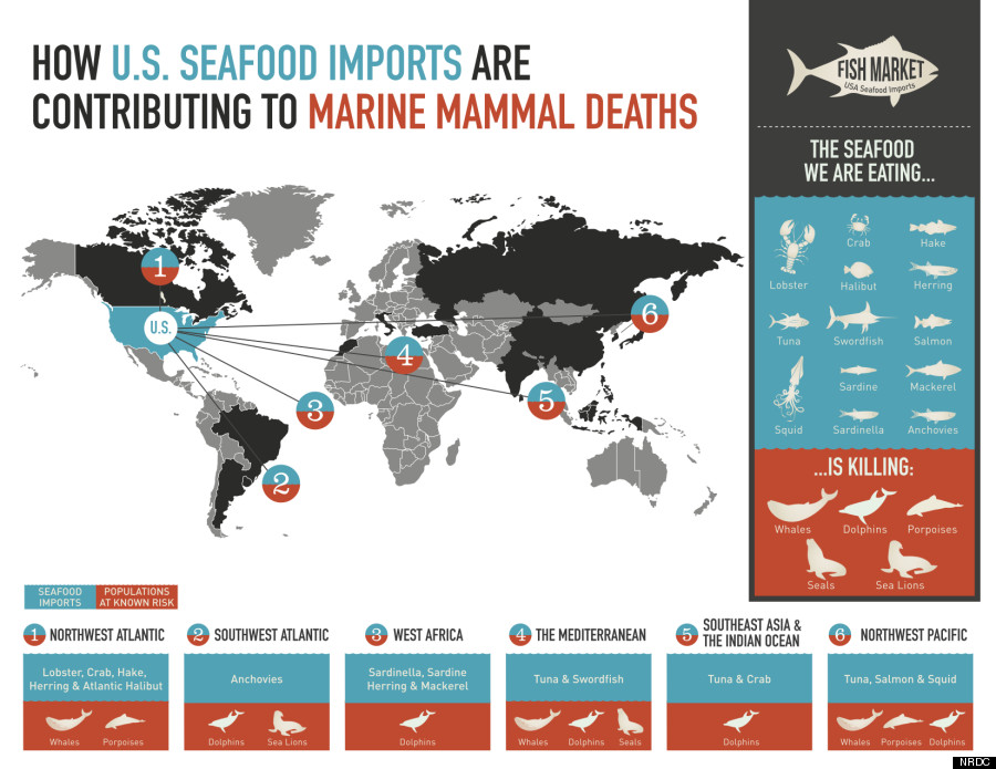 seafood imports