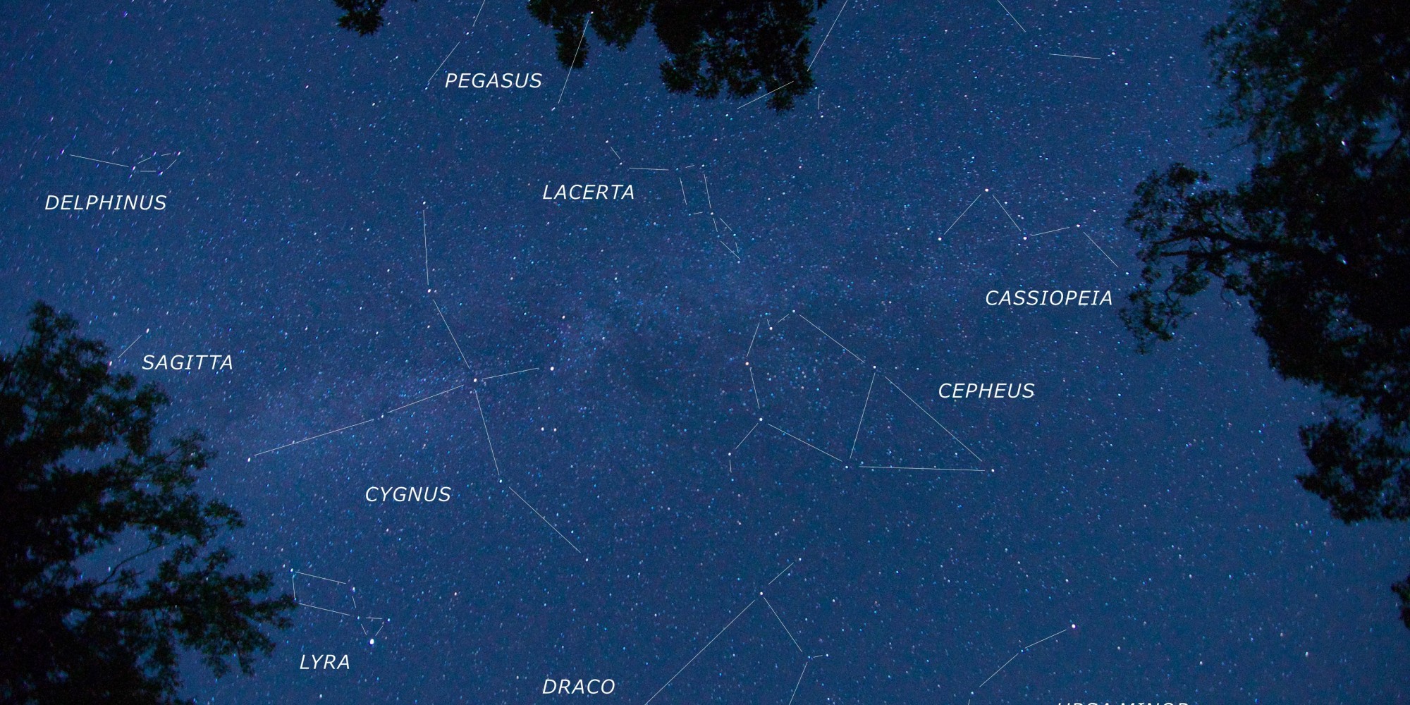 Guys, Someone Has Been Tweeting All The Constellations